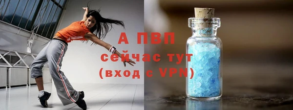 соль ск Алексин