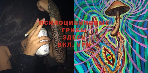 индика Алексеевка