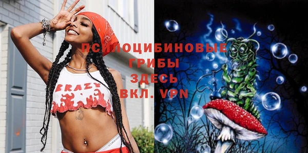 соль ск Алексин